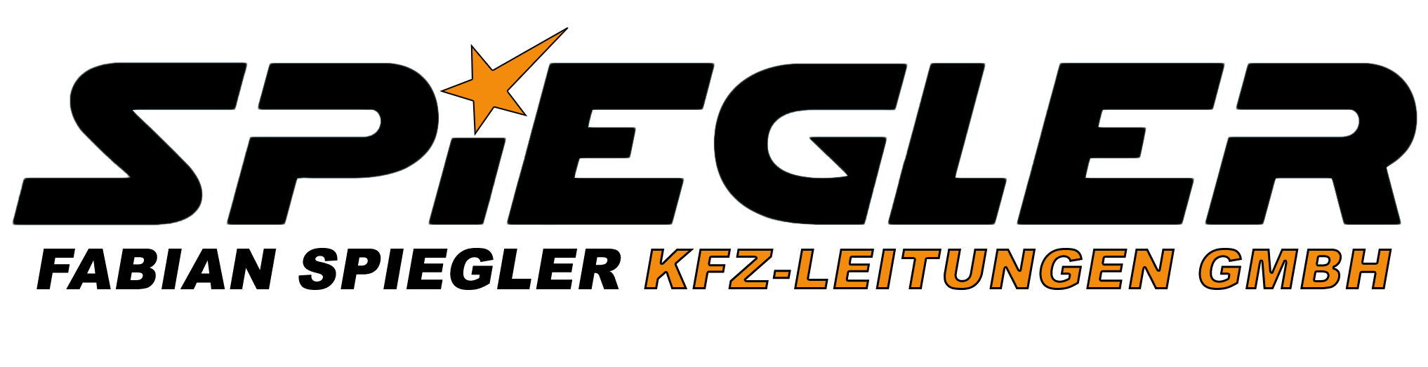 Logo der Seite FABIAN-SPIEGLER-KFZ-LEITUNGEN_GmbH wir haben eine Konfigurator 